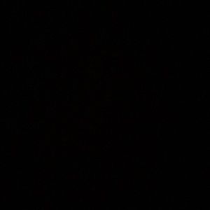 Meet your Posher, Lenox